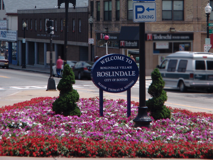 Realtor Trisha Solio offers a Roslindale Single Family