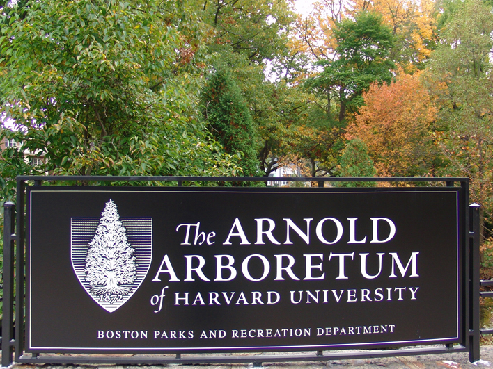 Realtor Trisha Solio offers a Roslindale Single Family